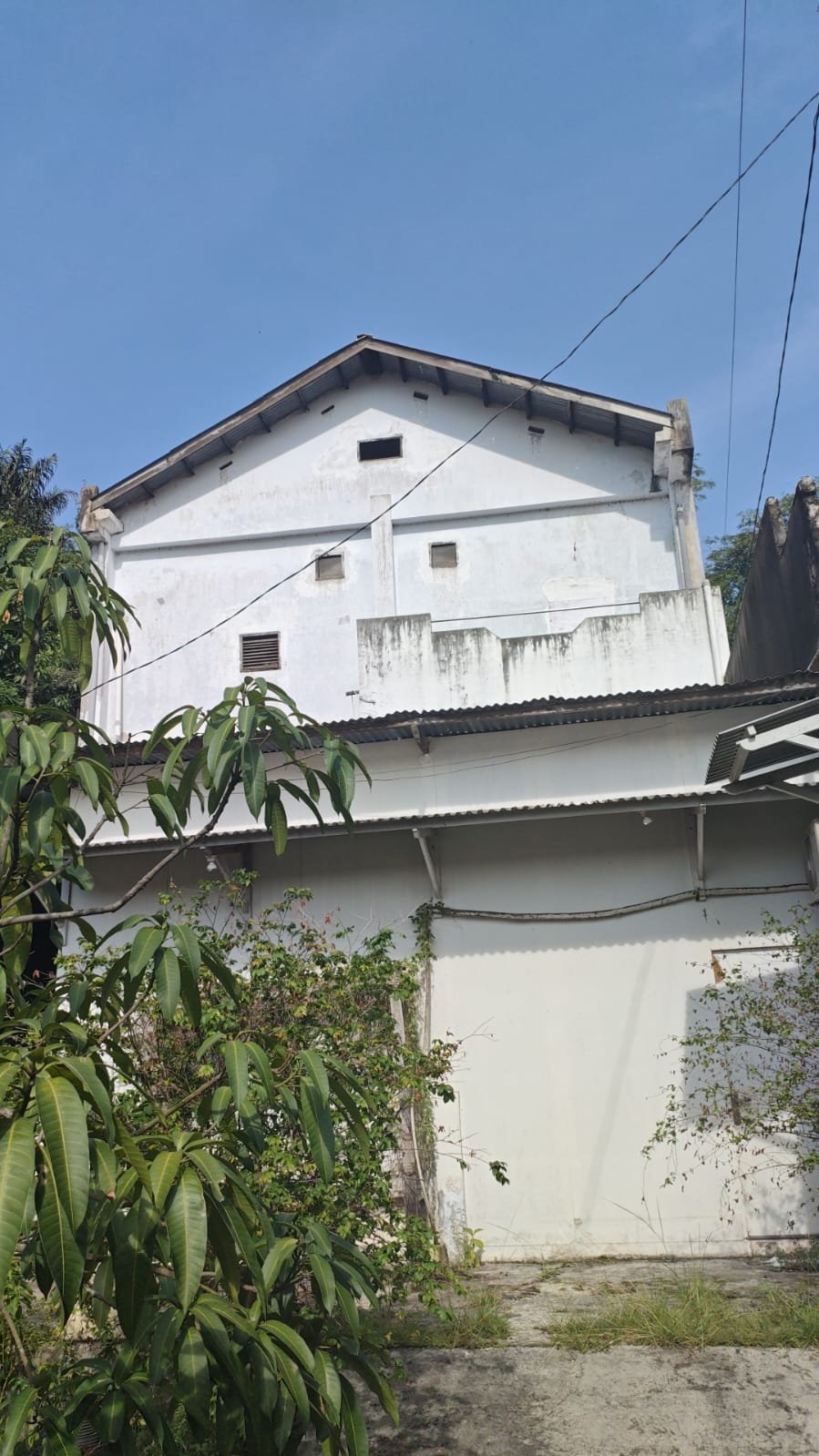 [Gedung Walet Tampak Samping]